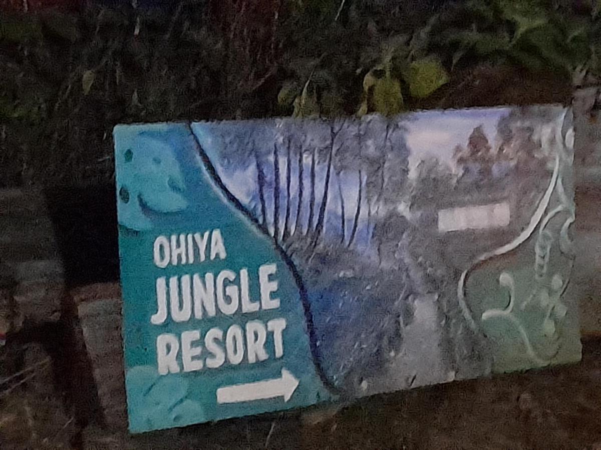 Ohiya Jungle Resort Экстерьер фото